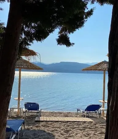 Seaside Pearl * Ligia